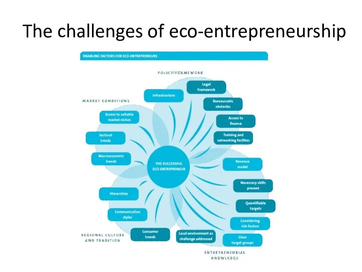 The challenges of eco-entrepreneurship