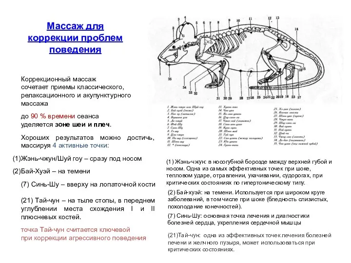 Массаж для коррекции проблем поведения Коррекционный массаж сочетает приемы классического, релаксационного и