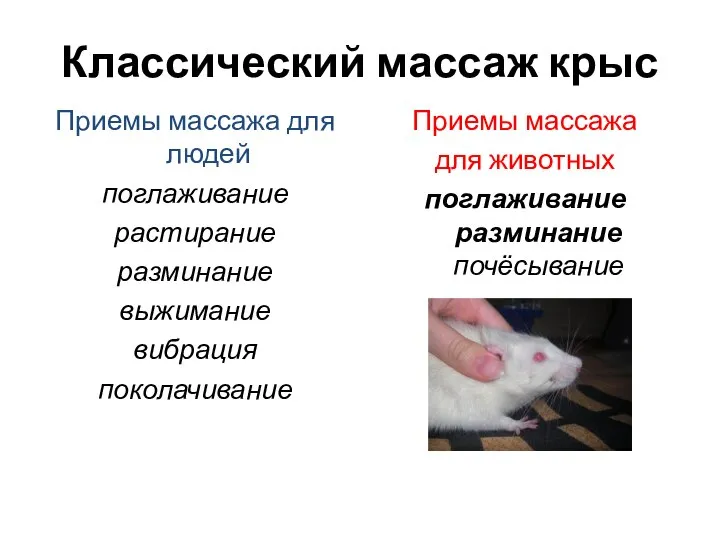 Классический массаж крыс Приемы массажа для людей поглаживание растирание разминание выжимание вибрация