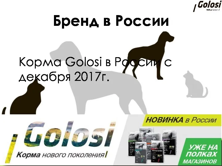 Бренд в России Корма Golosi в России с декабря 2017г.