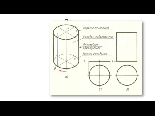Проекция цилиндра