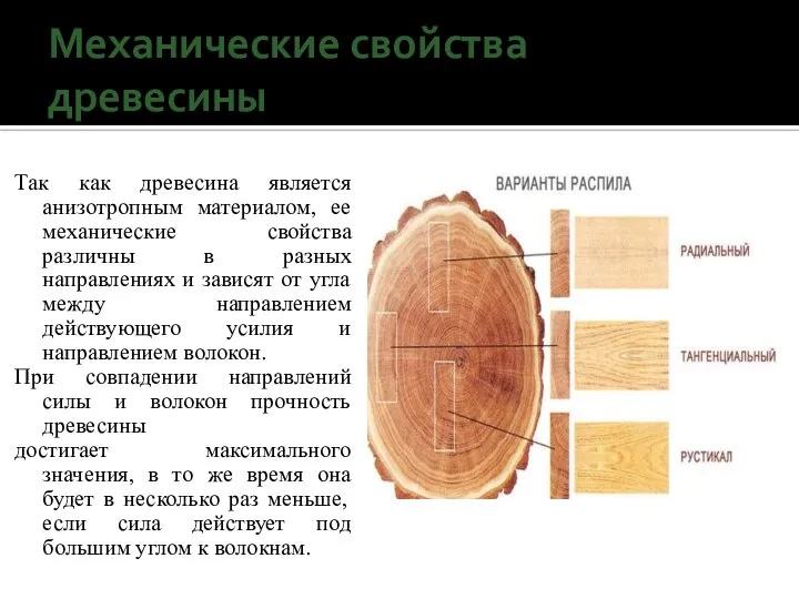 Механические свойства древесины Так как древесина является анизотропным материалом, ее механические свойства