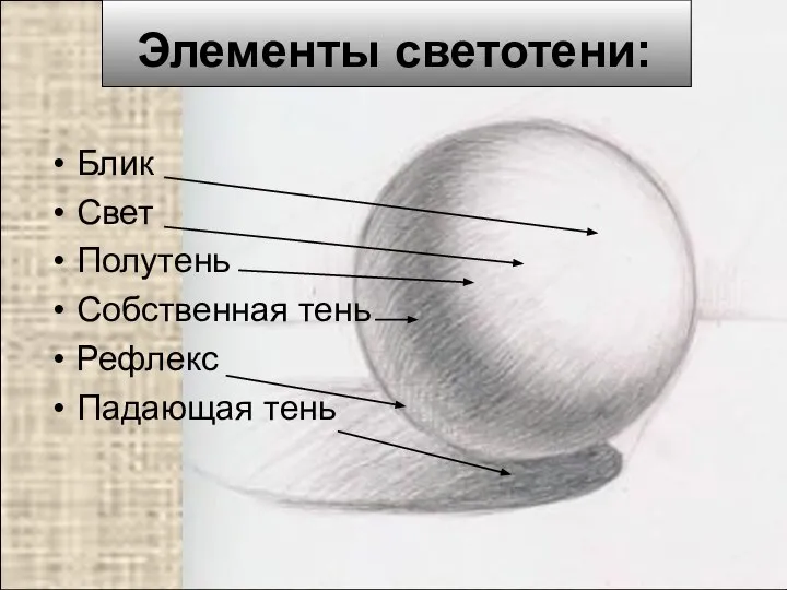 Элементы светотени: Блик Свет Полутень Собственная тень Рефлекс Падающая тень