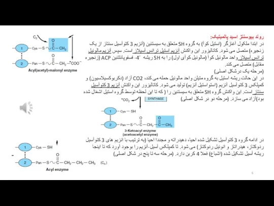 روند بیوسنتز اسید پالمیتیک: در ابتدا ملکول آغازگر (استیل کوآ) به گروه