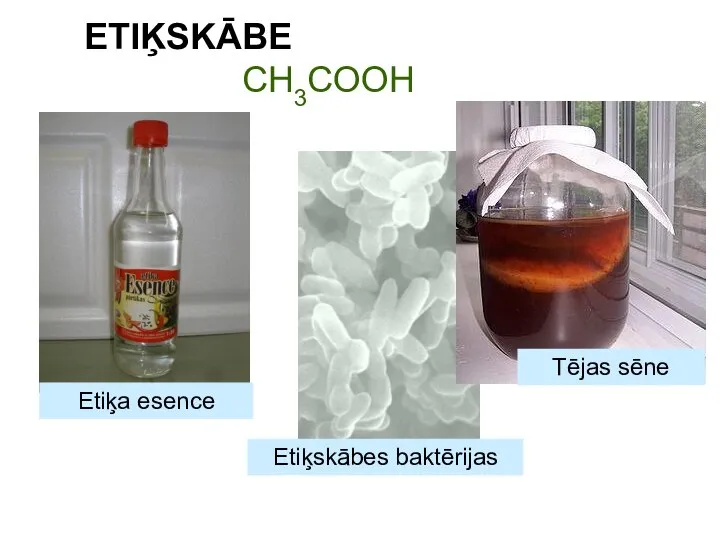 ETIĶSKĀBE CH3COOH Etiķskābes baktērijas Tējas sēne Etiķa esence