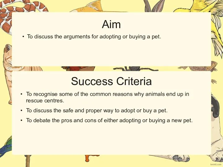 Success Criteria Aim To discuss the arguments for adopting or buying a