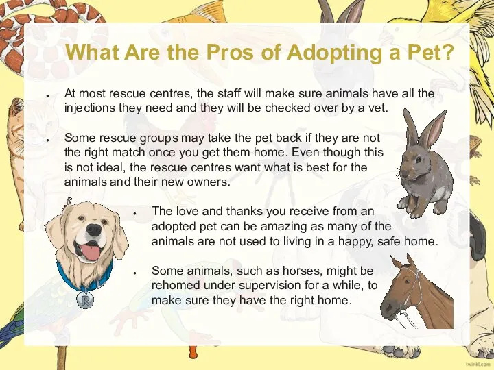 What Are the Pros of Adopting a Pet? At most rescue centres,