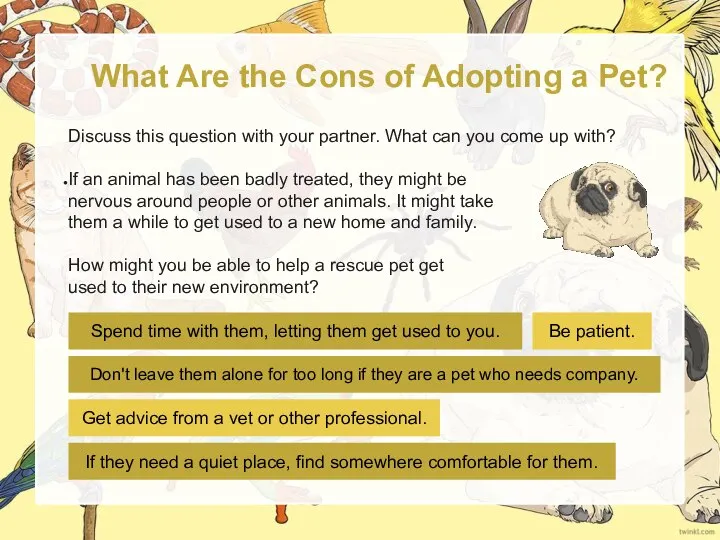 What Are the Cons of Adopting a Pet? Discuss this question with