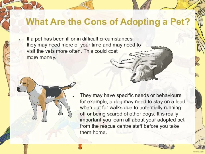 What Are the Cons of Adopting a Pet? If a pet has