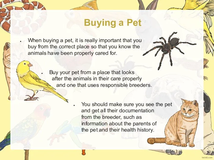 Buying a Pet When buying a pet, it is really important that