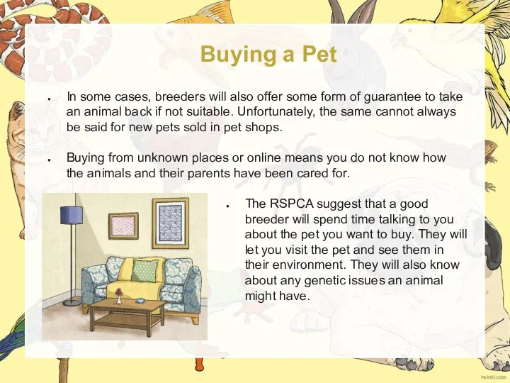 Buying a Pet In some cases, breeders will also offer some form