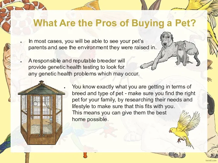 What Are the Pros of Buying a Pet? In most cases, you