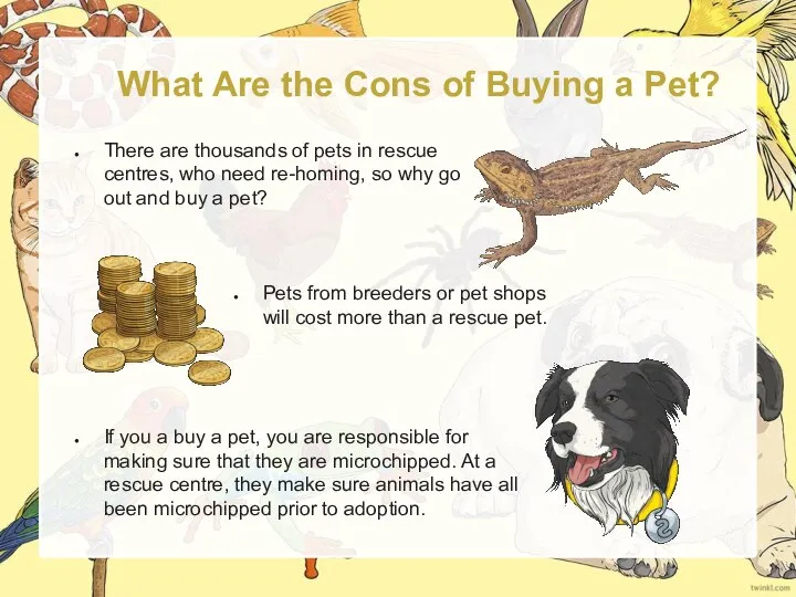 What Are the Cons of Buying a Pet? There are thousands of