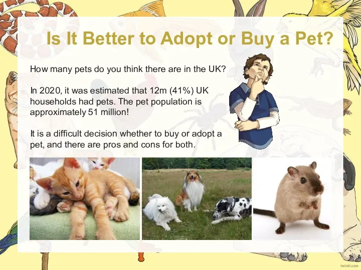 Is It Better to Adopt or Buy a Pet? How many pets