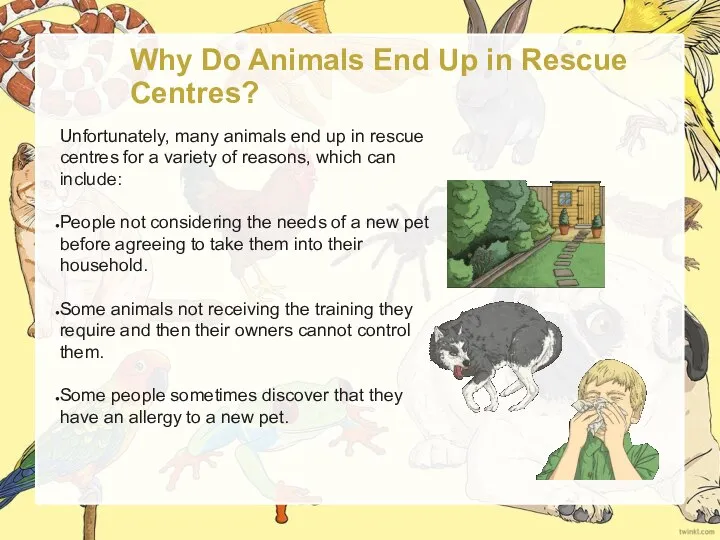 Why Do Animals End Up in Rescue Centres? Unfortunately, many animals end