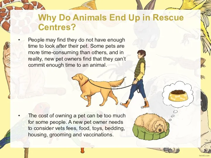 Why Do Animals End Up in Rescue Centres? People may find they