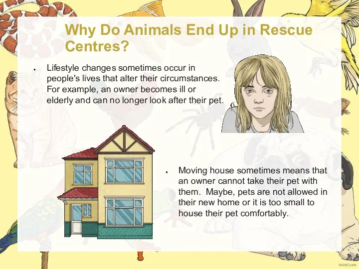 Why Do Animals End Up in Rescue Centres? Lifestyle changes sometimes occur