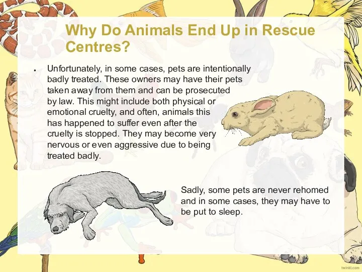 Why Do Animals End Up in Rescue Centres? Unfortunately, in some cases,
