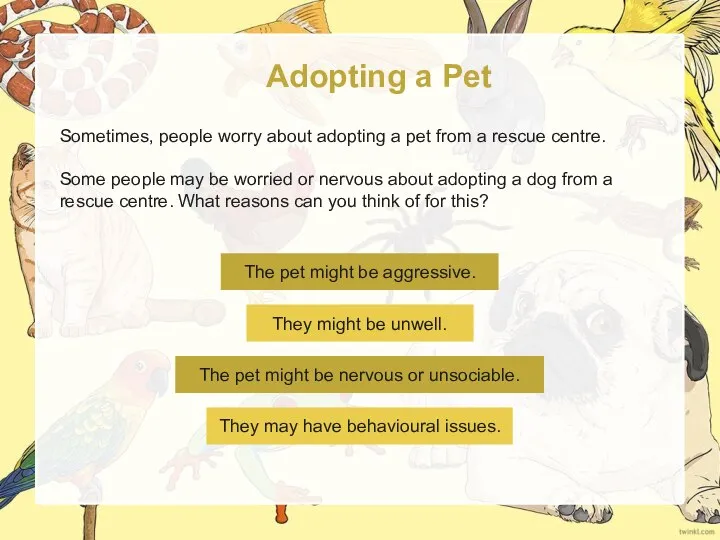 Adopting a Pet Sometimes, people worry about adopting a pet from a