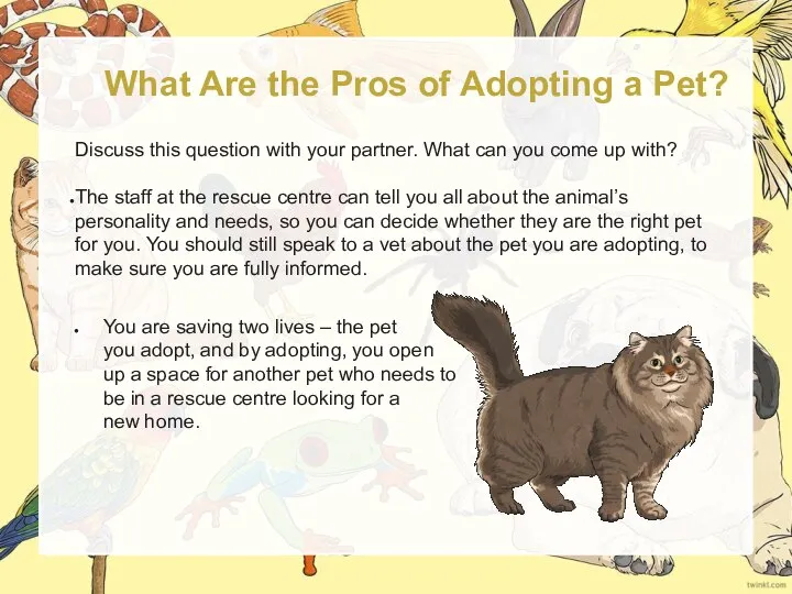 What Are the Pros of Adopting a Pet? Discuss this question with