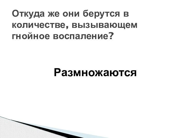 Откуда же они берутся в количестве, вызывающем гнойное воспаление? Размножаются