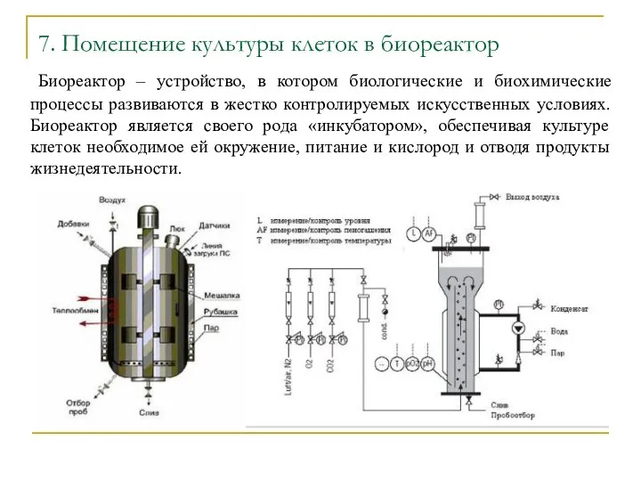 7. Помещение культуры клеток в биореактор Биореактор – устройство, в котором биологические