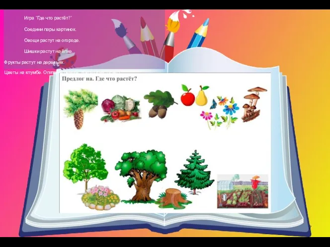 Игра “Где что растёт?” Соедини пары картинок. Овощи растут на огороде. Шишки