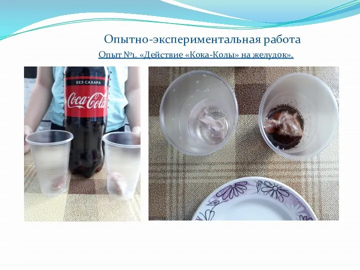 Опытно-экспериментальная работа Опыт №1. «Действие «Кока-Колы» на желудок».