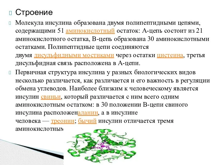 Строение Молекула инсулина образована двумя полипептидными цепями, содержащими 51 аминокислотный остаток: A-цепь