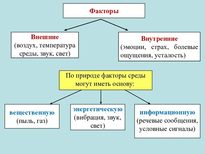 Внешние (воздух, температура среды, звук, свет) Внутренние (эмоции, страх, болевые ощущения, усталость)