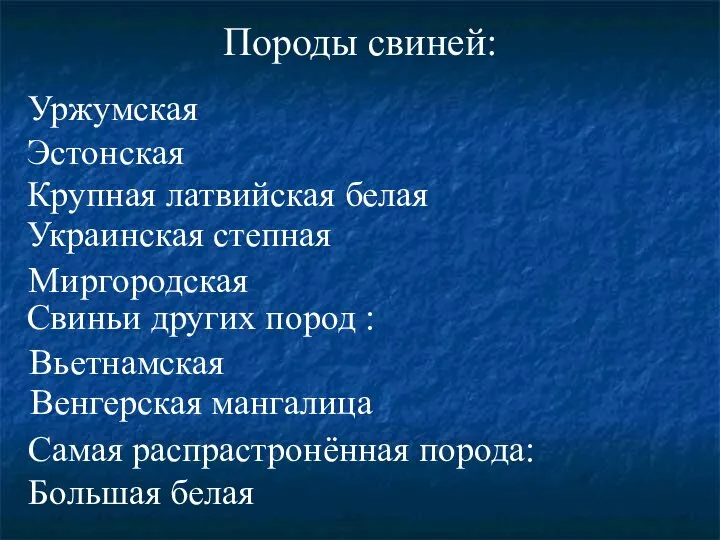 Породы свиней: Эстонская Уржумская Крупная латвийская белая Украинская степная Миргородская Вьетнамская Венгерская