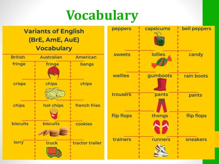 Vocabulary