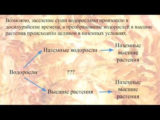 Возможно, заселение суши водорослями произошло в досилурийские времена, а преобразование водорослей в