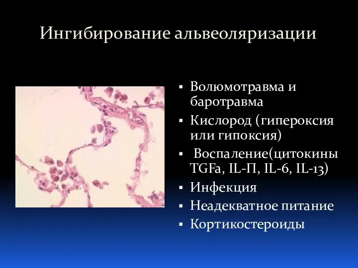 Ингибирование альвеоляризации Волюмотравма и баротравма Кислород (гипероксия или гипоксия) Воспаление(цитокины TGFa, IL-П,