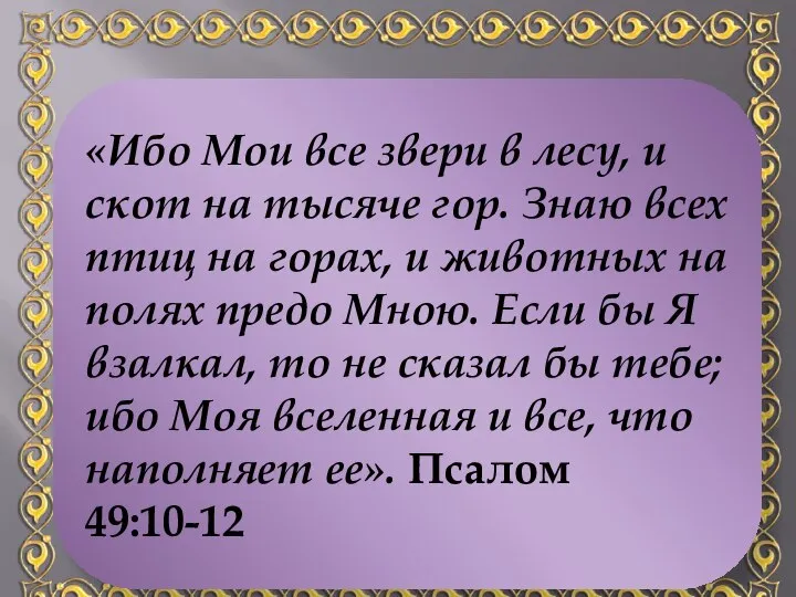 Бог настаивает на Своих правах. Бог не только создал все, Он ясно