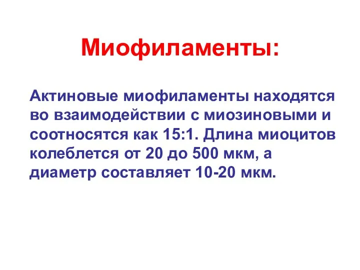 Миофиламенты: Актиновые миофиламенты находятся во взаимодействии с миозиновыми и соотносятся как 15:1.