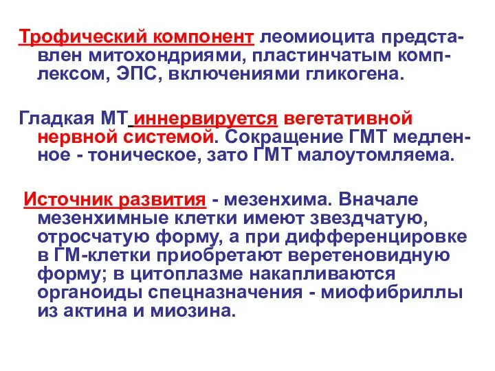 Трофический компонент леомиоцита предста-влен митохондриями, пластинчатым комп-лексом, ЭПС, включениями гликогена. Гладкая МТ