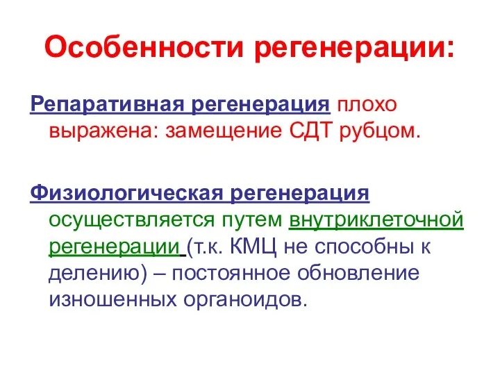 Особенности регенерации: Репаративная регенерация плохо выражена: замещение СДТ рубцом. Физиологическая регенерация осуществляется