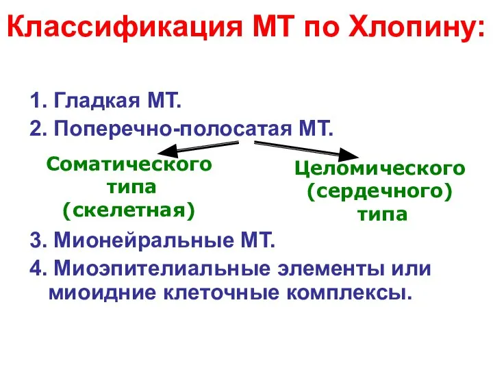 Классификация МТ по Хлопину: 1. Гладкая МТ. 2. Поперечно-полосатая МТ. 3. Мионейральные