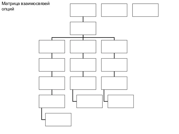 Матрица взаимосвязей опций