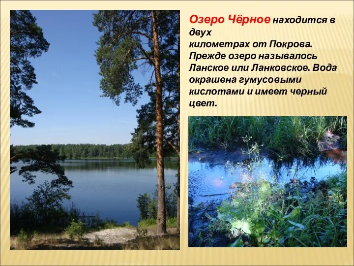 Озеро Чёрное находится в двух километрах от Покрова. Прежде озеро называлось Ланское