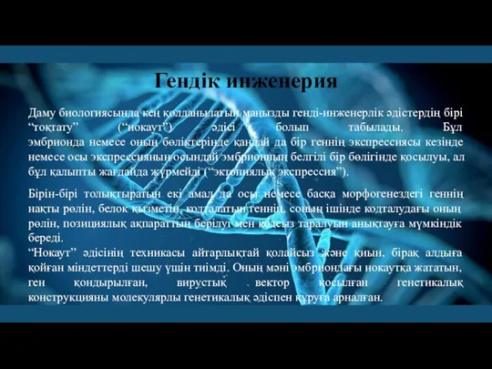 Гендік инженерия Даму биологиясында кең қолданылатын маңызды генді-инженерлік әдістердің бірі “тоқтату” (“нокаут”)