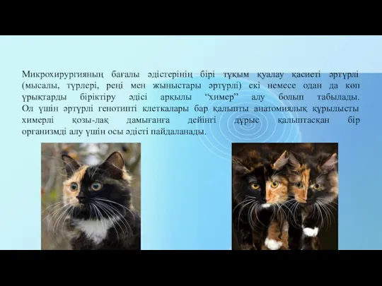 Микрохирургияның бағалы әдістерінің бірі тұқым қуалау қасиеті әртүрлі (мысалы, түрлері, реңі мен