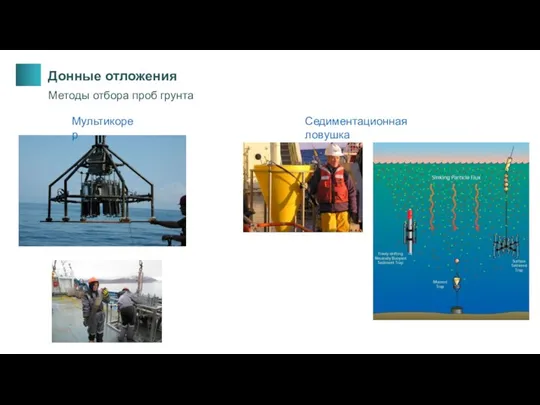 Седиментационная ловушка Мультикорер Донные отложения Методы отбора проб грунта