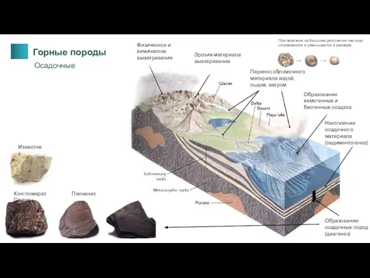 Горные породы Осадочные Конгломерат Песчаник Сланец При переносе на большие расстояния частицы