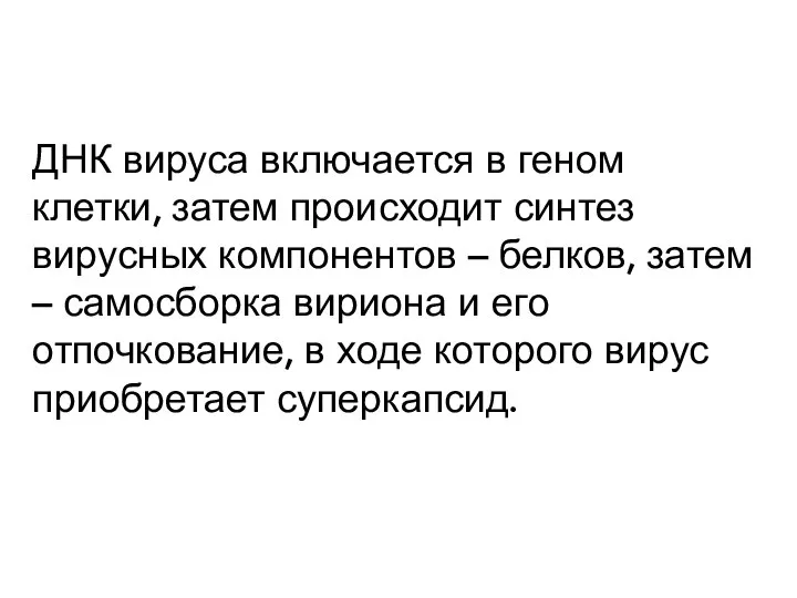 ДНК вируса включается в геном клетки, затем происходит синтез вирусных компонентов –