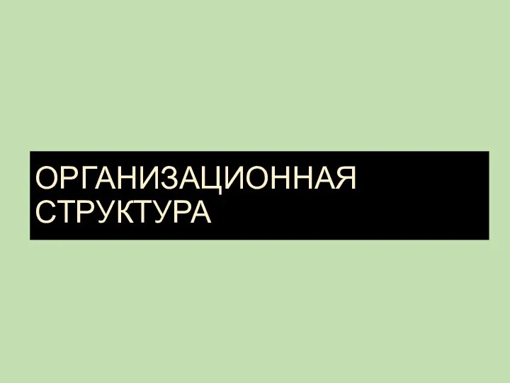 ОРГАНИЗАЦИОННАЯ СТРУКТУРА