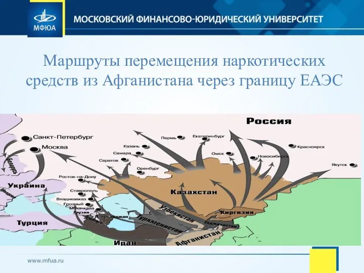 Маршруты перемещения наркотических средств из Афганистана через границу ЕАЭС