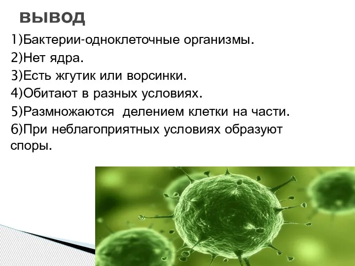 1)Бактерии-одноклеточные организмы. 2)Нет ядра. 3)Есть жгутик или ворсинки. 4)Обитают в разных условиях.