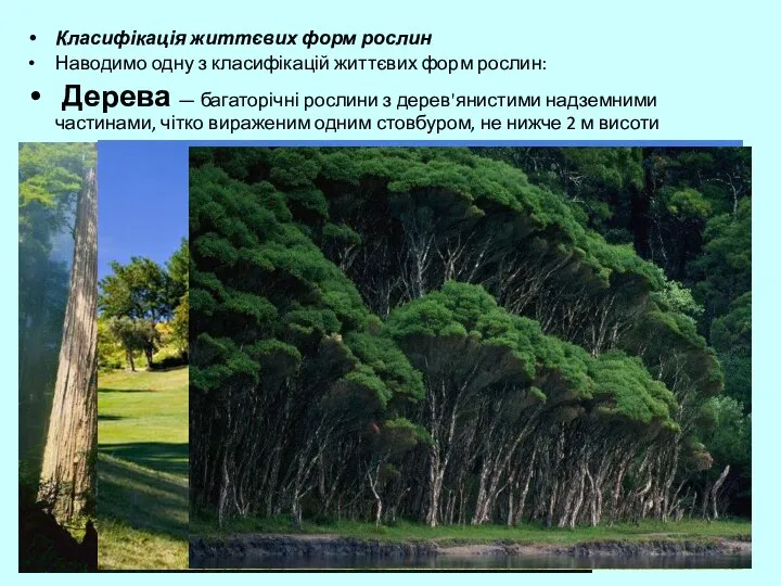 Класифікація життєвих форм рослин Наводимо одну з класифікацій життєвих форм рослин: Дерева